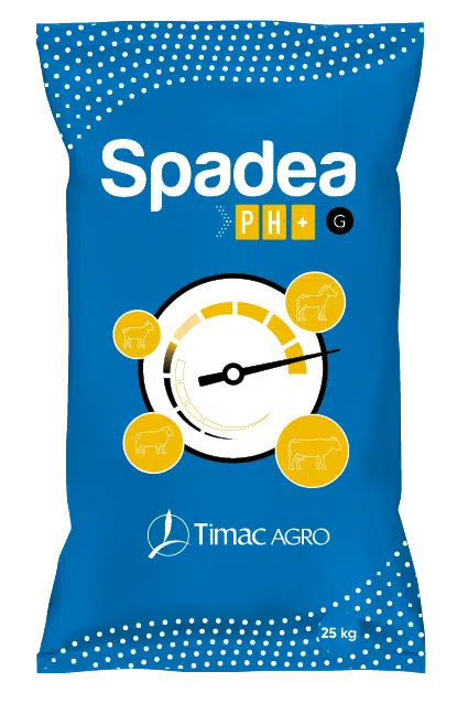Spadea pH2b 25kg - granulat.png.webp