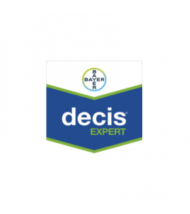 decis-expert.jpg